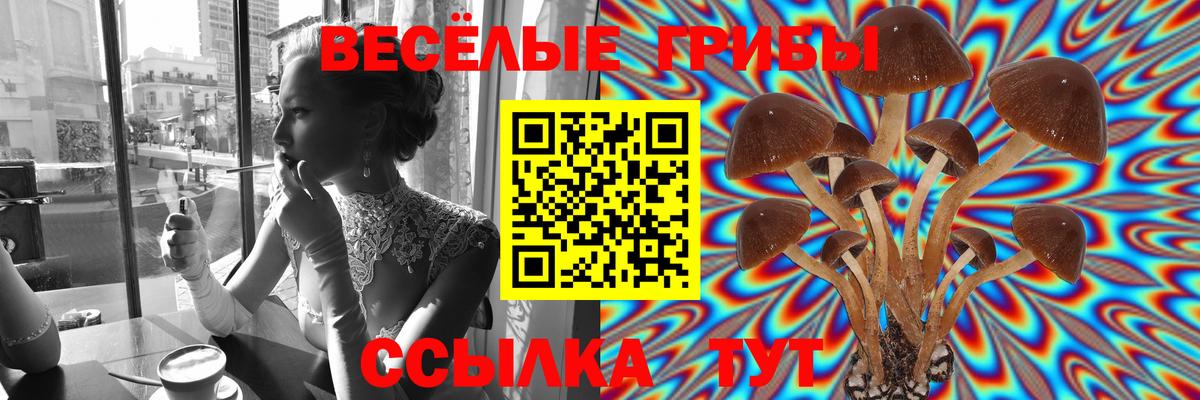 Семёнов  Псилоцибиновые грибы MAGIC MUSHROOMS  закладки  Вход с VPN 